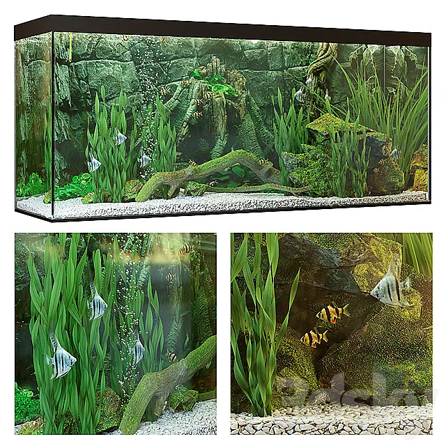 Aquarium 3DModel Aquarium 3DModel