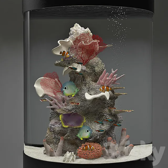 Aquarium 3DModel Aquarium 3DModel