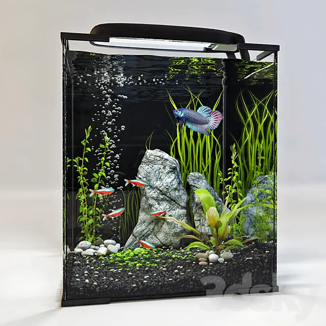 Aquarium 3DModel Aquarium 3DModel