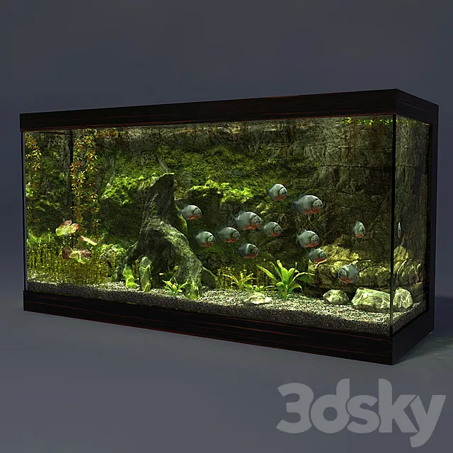 Aquarium 3DModel Aquarium 3DModel