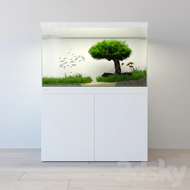 Aquarium _ aquarium 3D Model Aquarium _ aquarium 3D Model