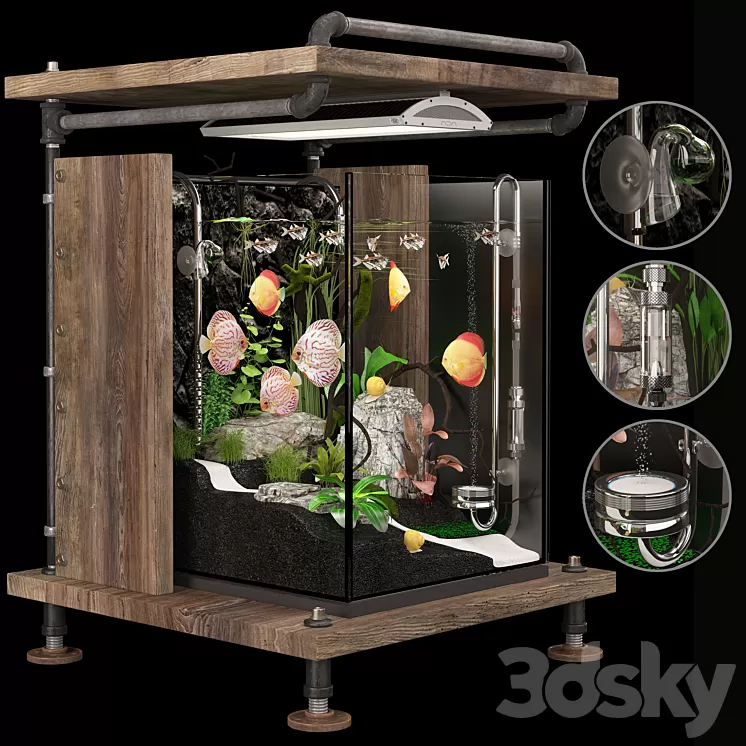 Aquarium Loft 3D Model Aquarium Loft 3D Model