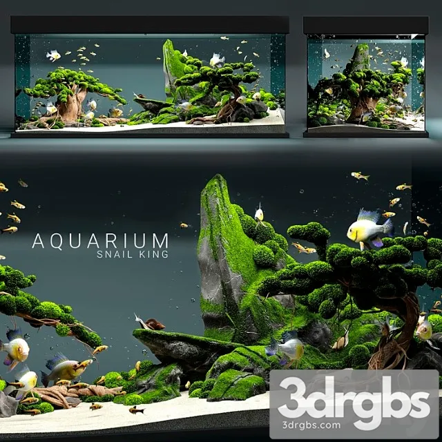 Aquarium Snail King 3D Model Download