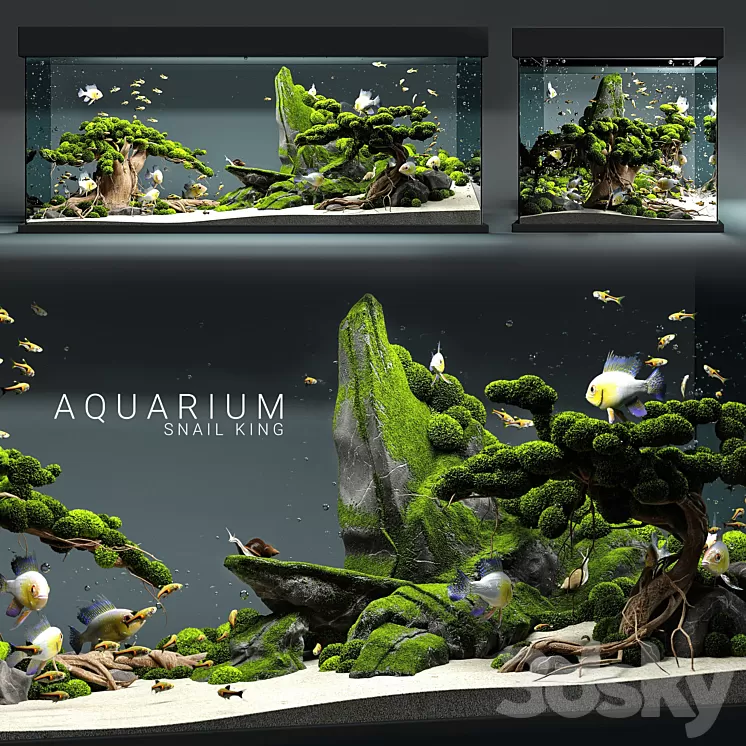 Aquarium snail king 3D Model Aquarium snail king 3D Model