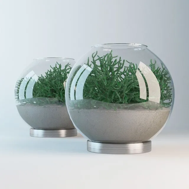 Aquarium with hatioroj and sand 3D Model Aquarium with hatioroj and sand 3D Model