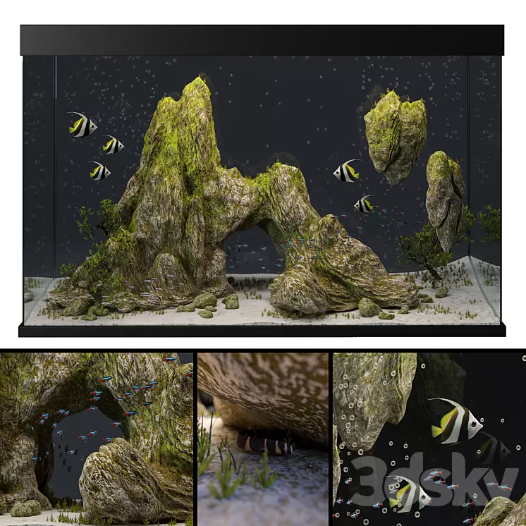 Aquarium with rocks and moss 3D Model Aquarium with rocks and moss 3D Model