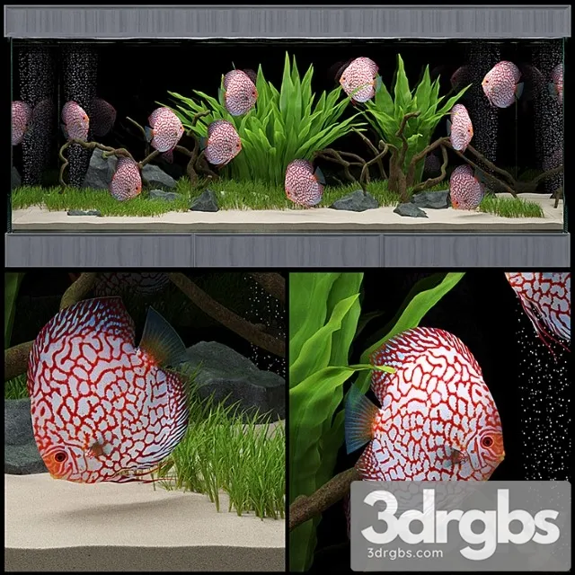 Aquarium_1 3D Model Download