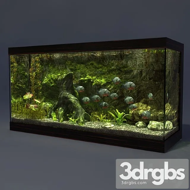 Aquarium_2 3D Model Download