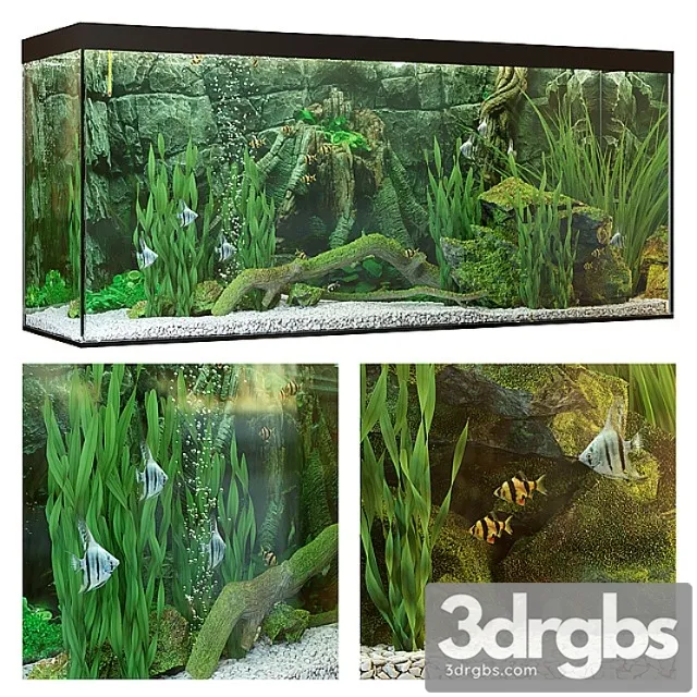 Aquarium_22 3D Model Download