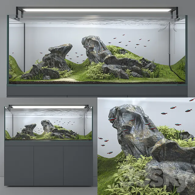 Aquascape aquarium 3DModel Aquascape aquarium 3DModel