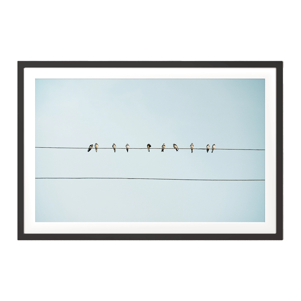 ArArArt – Picture #01 Birds on Wires in Rural Armenia 3D Model
