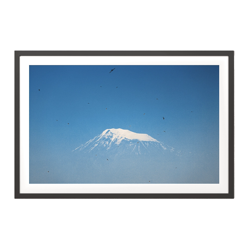 ArArArt – Picture #013 Great Ararat & Swifts 3D Model