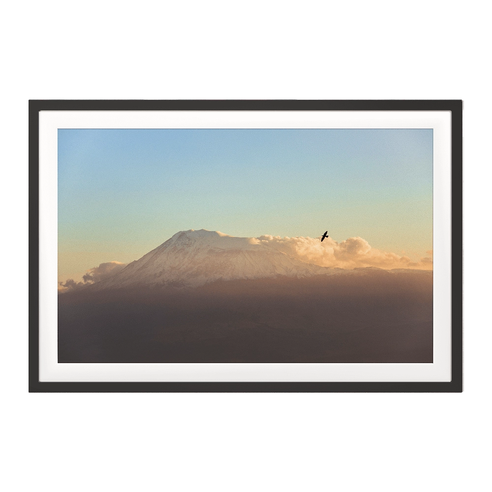 ArArArt – Picture #015 Great Ararat & Birds 3D Model