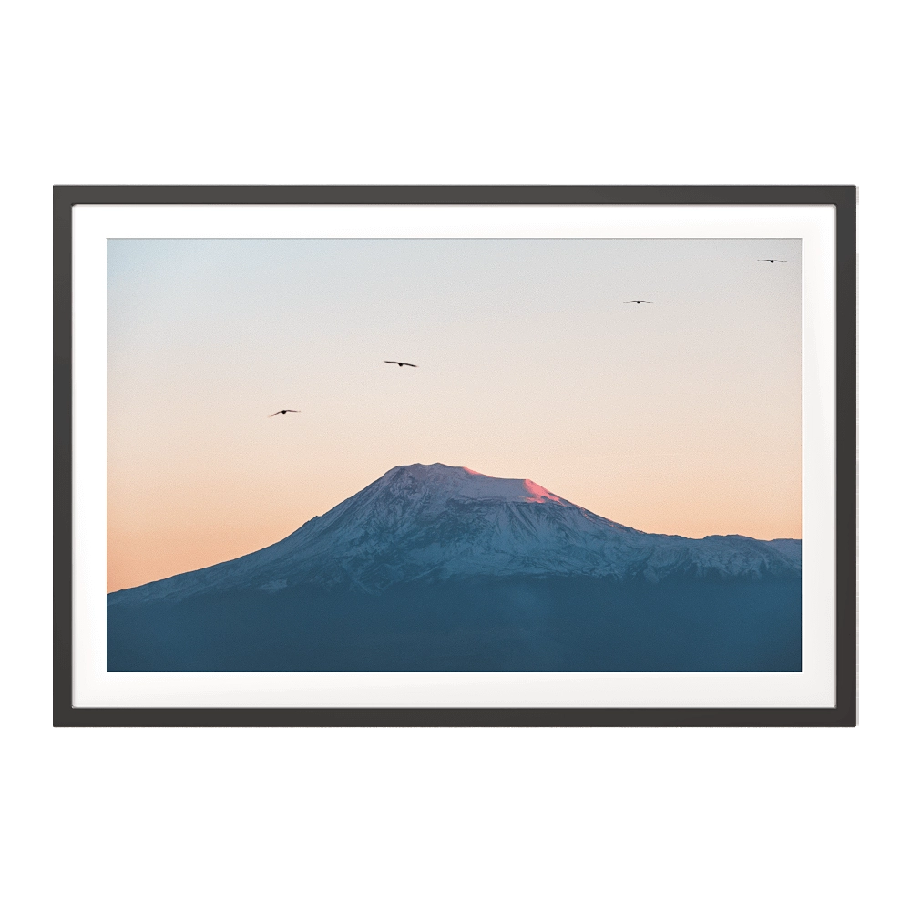 ArArArt – Picture #02 Great Ararat & Birds 3D Model