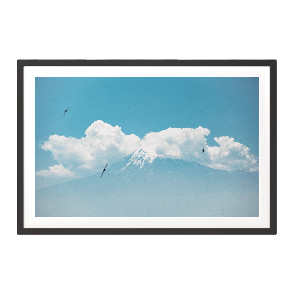 ArArArt – Picture #04 Great Ararat & Swifts 3D Model