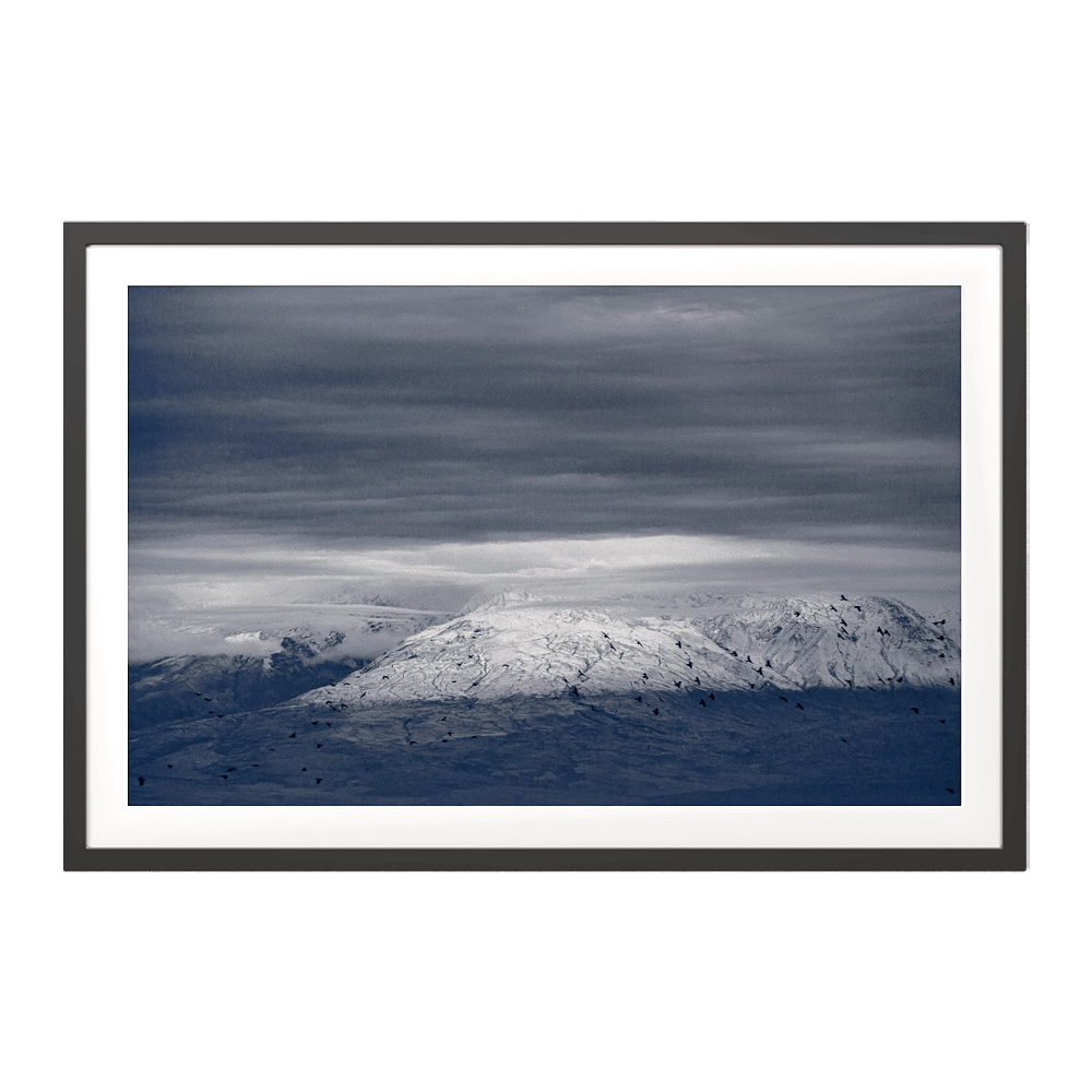 ArArArt – Picture #08 Great Ararat & Birds 3D Model