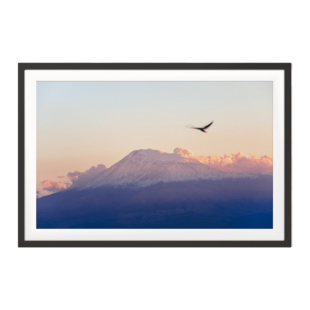 ArArArt – Picture #09 Great Ararat & Birds 3D Model
