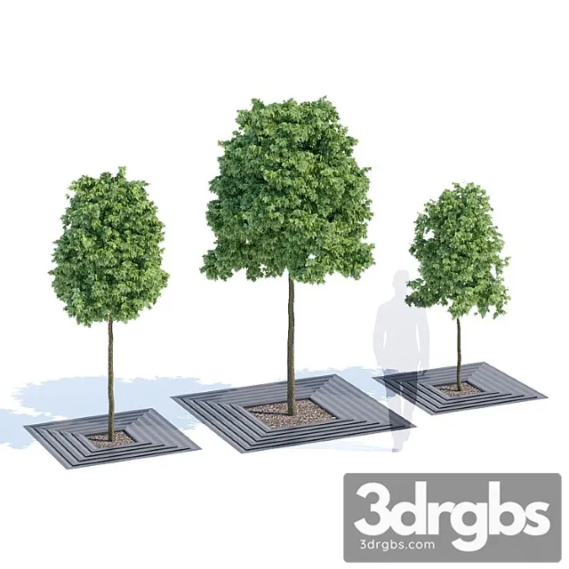 Arboris 3D Model Download Arboris 3D Model Download