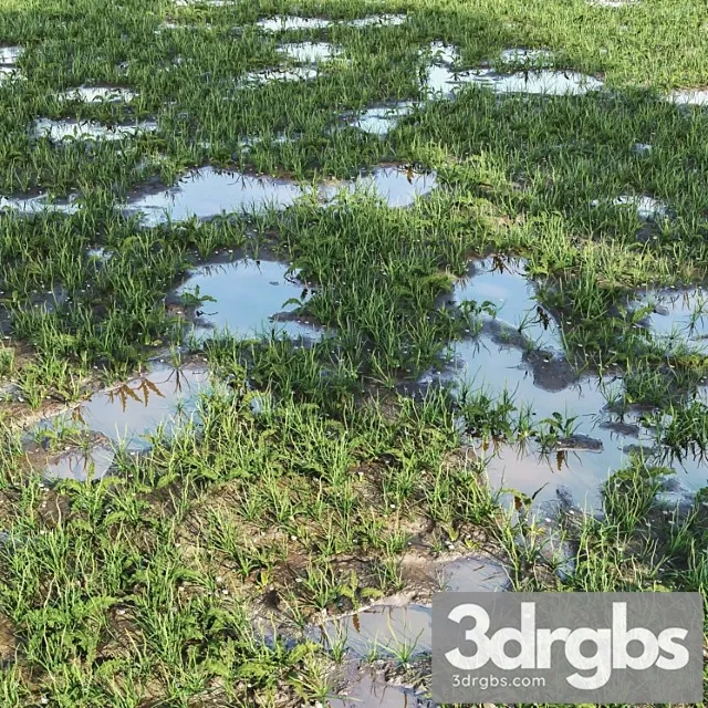 Arch Grass 03 Arch Grass 03