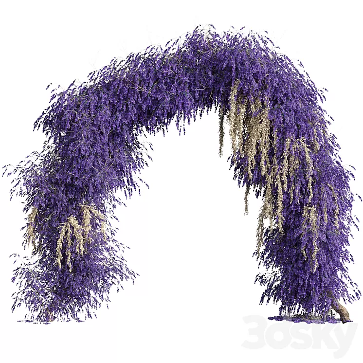 Arch of lavender flowers 3D Model Free Download Arch of lavender flowers 3D Model Free Download