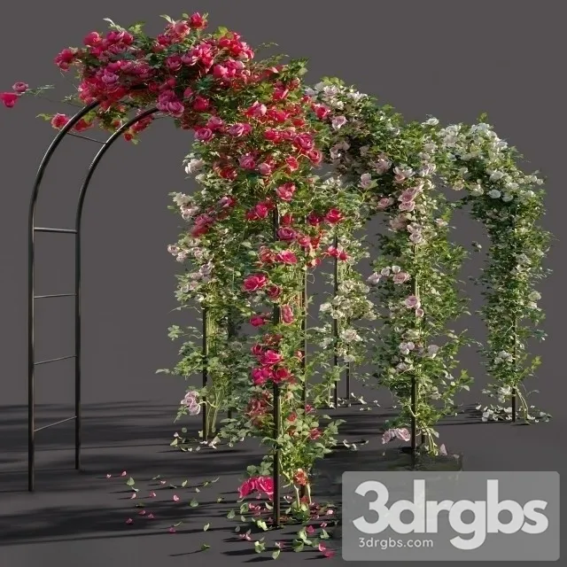 Arch Roses 3D Model Download