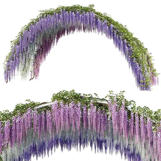 Arch with Wisteria 3D Model