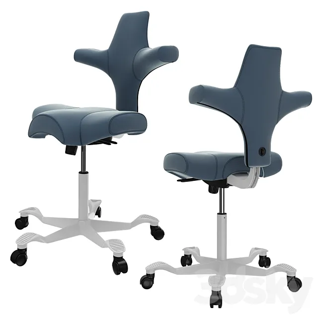 Armchair HAG CAPISCO 8106 3D Model