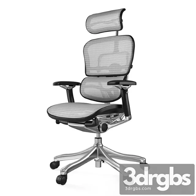 Armchair office ergohuman plus luxury (6 fabric colors)