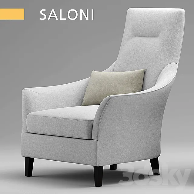 Armchair SALONI BW-135 3D Model