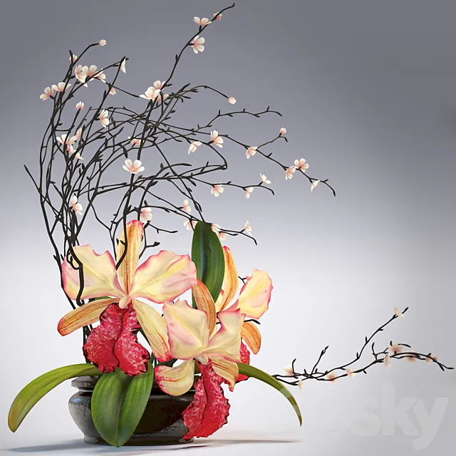 Arrangement of orchids 3D Model Arrangement of orchids 3D Model