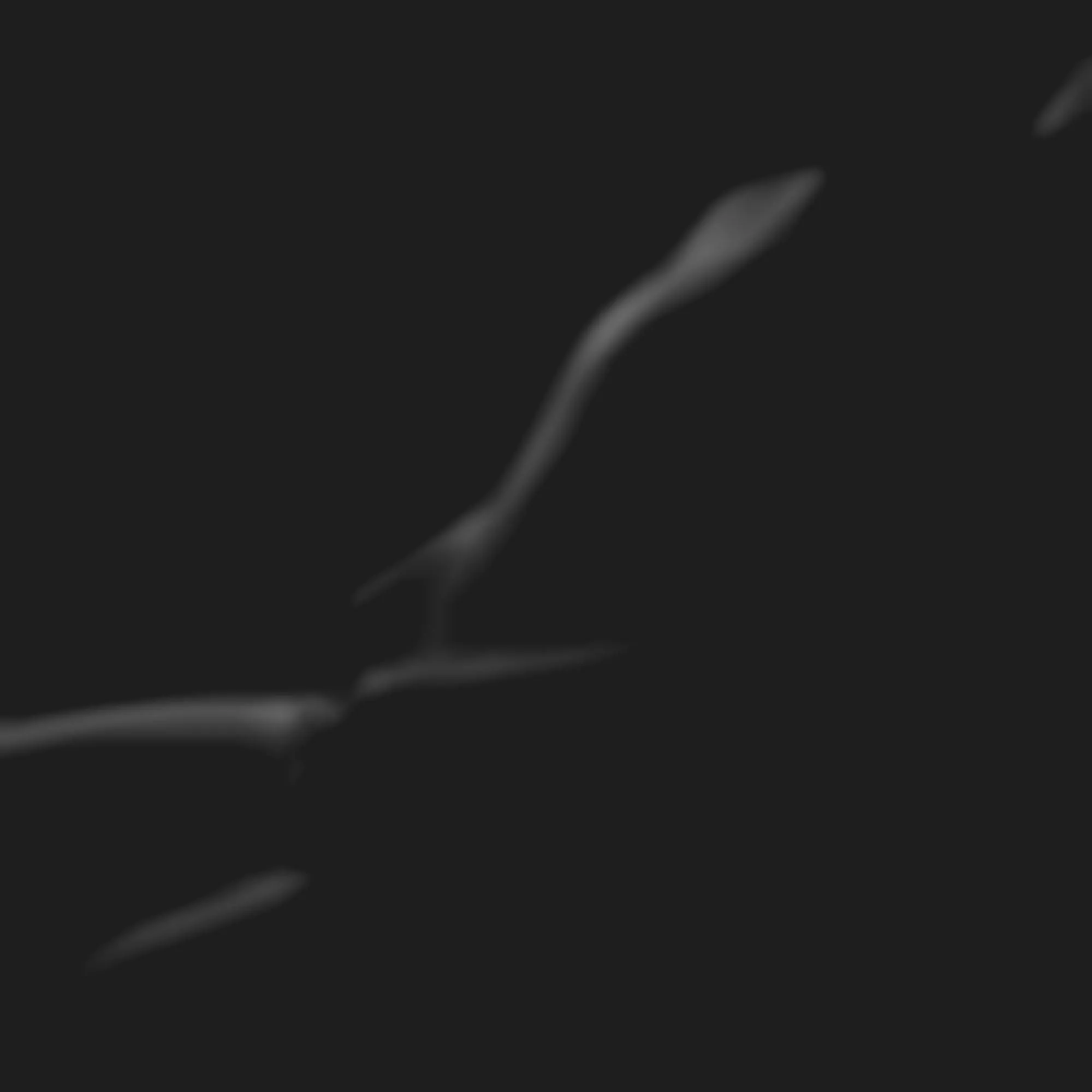 Artashes Martirosyan – Pictures 1 3D Model