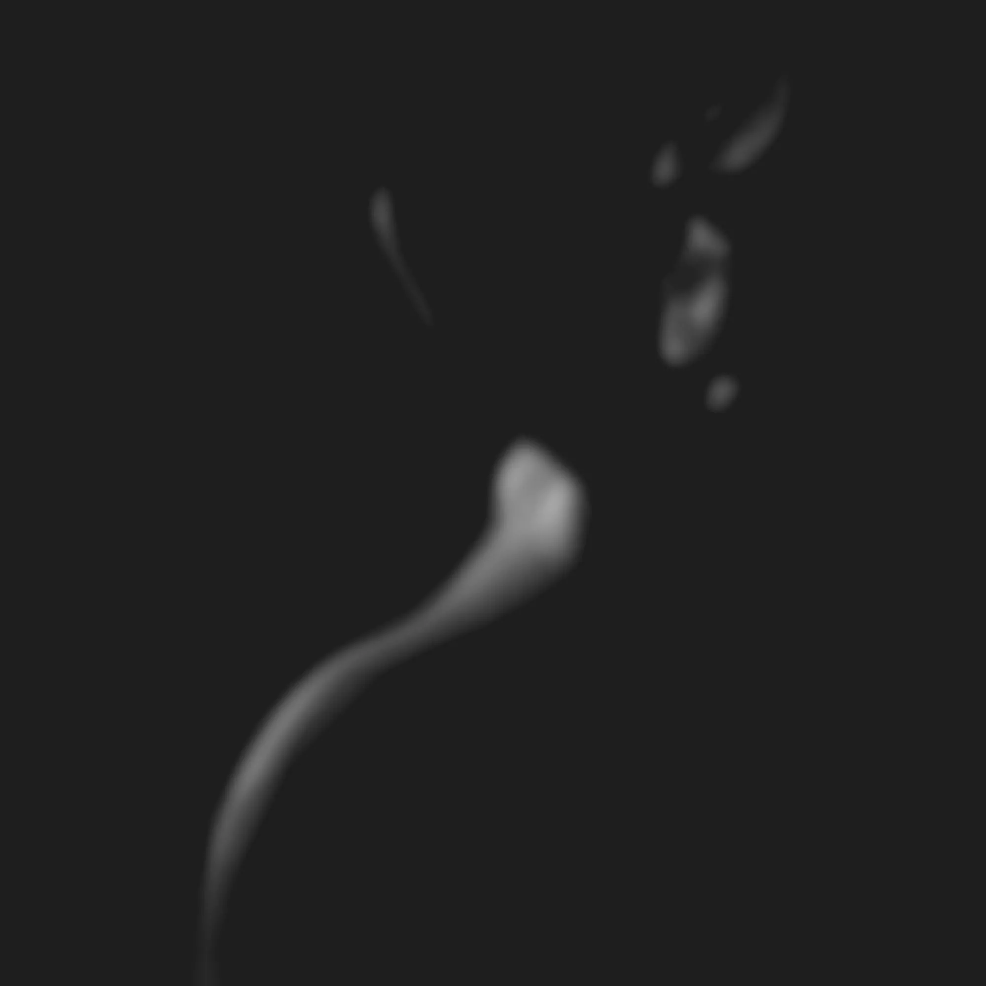 Artashes Martirosyan – Pictures 3 3D Model