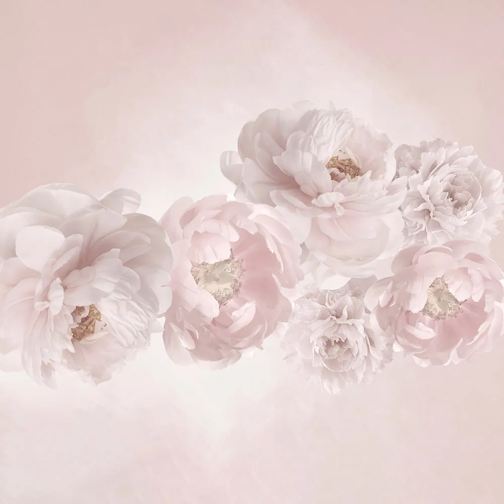 ArtFresco – Wallpaper delicate powder peonies 3D Model ArtFresco – Wallpaper delicate powder peonies 3D Model
