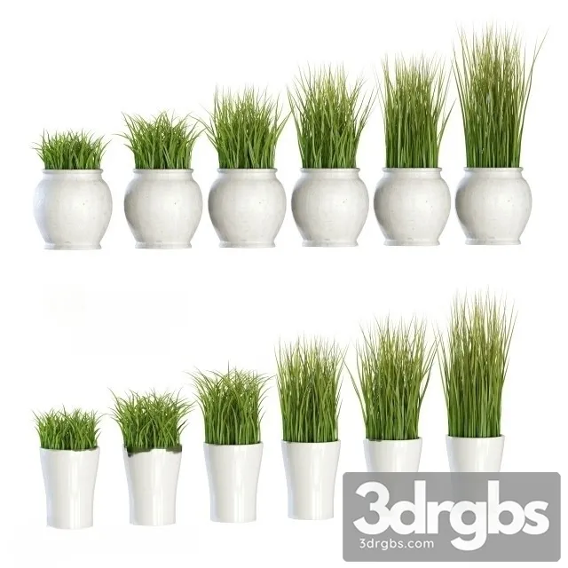 Artificial Plants 3D Model Download