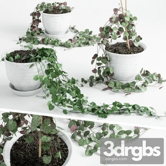 Artificial Vines Garland 2 3D Model Download