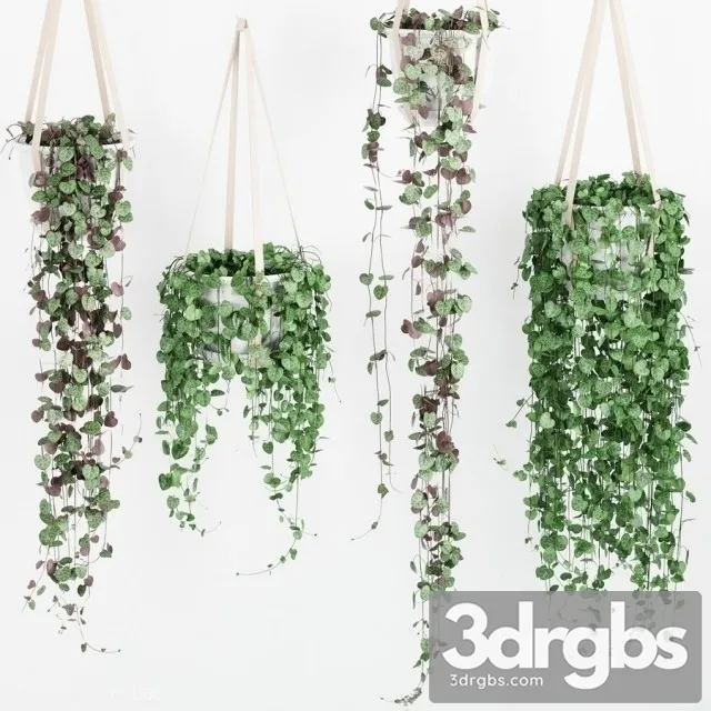 Artificial Vines Garland 3D Model Download