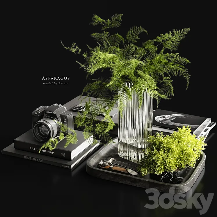 Asparagus 3D Model Free Download