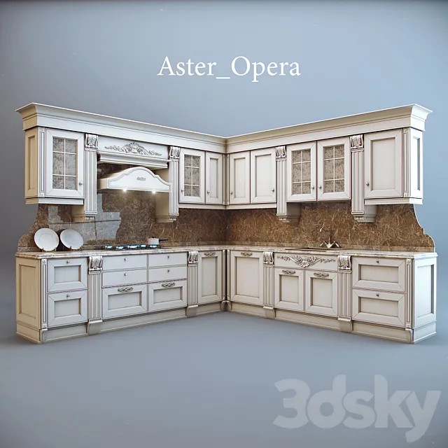Aster _ Opera 3DModel