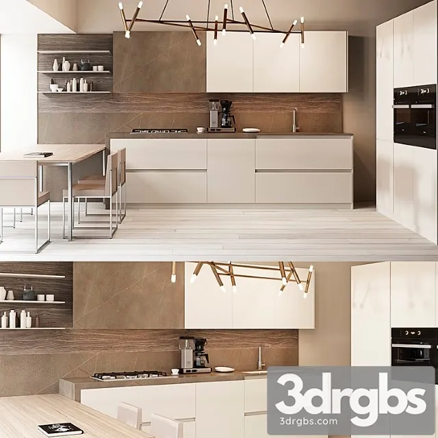 Aster contempora composition 1 3D Model Download