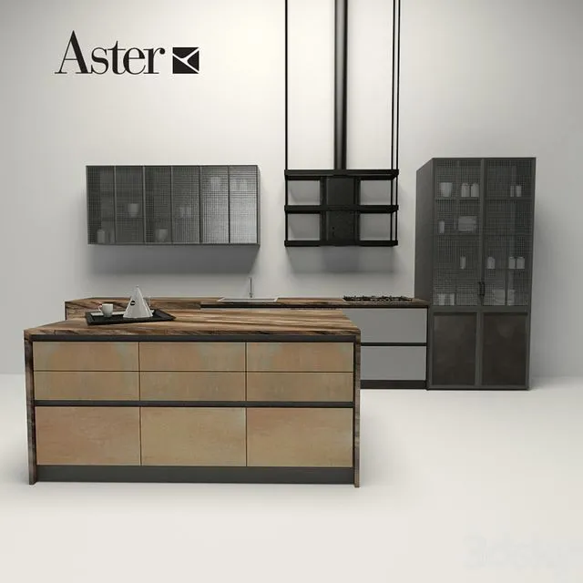 Aster – factory 3D Model