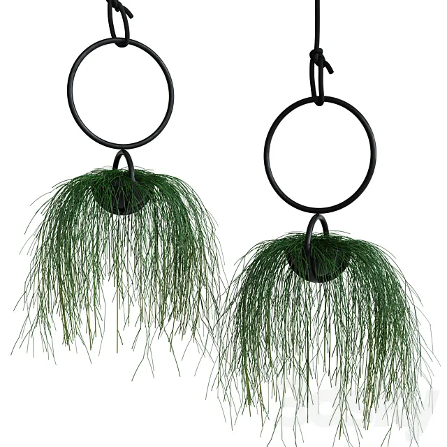 Atelier Haußmann BLUMENKUGEL 3DModel Atelier Haußmann BLUMENKUGEL 3DModel