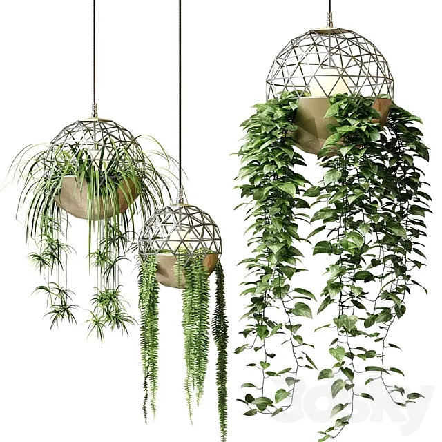 Atelier Schroeter luminaires with hanging plants 3D Model