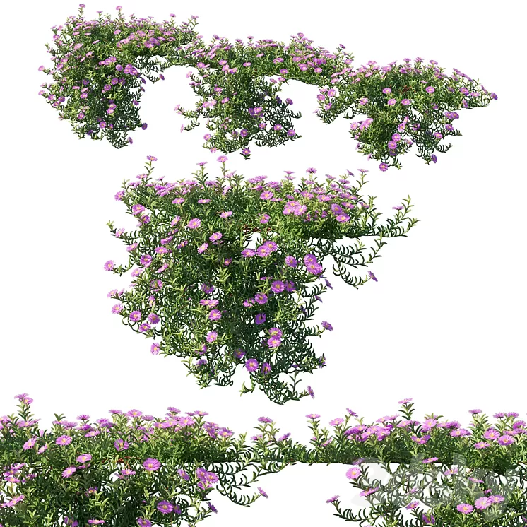 Aussie Rambler 02 3D Model Free Download