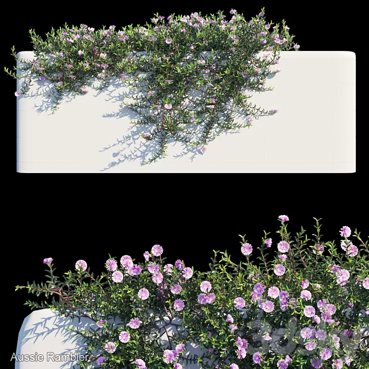 Aussie Rambler Creeper 3D Model