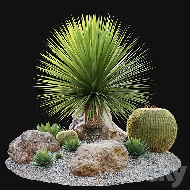 Australian garden 3D Model Australian garden 3D Model