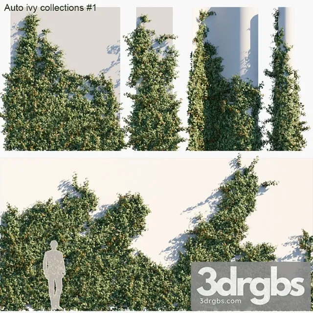 Auto ivy collections Auto ivy collections