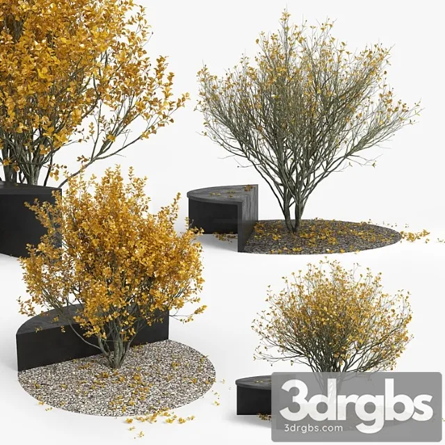 Autumn 3D Model Download