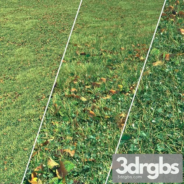 Autumn grass 3 Autumn grass 3