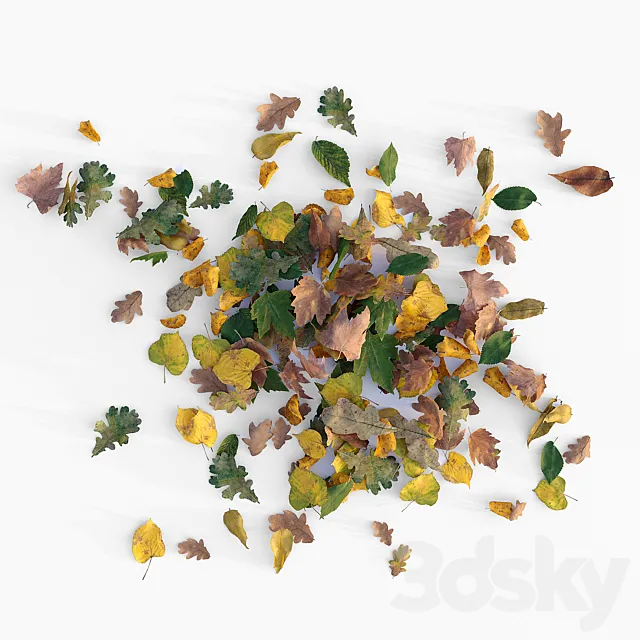 Autumn leaves 3D Model Autumn leaves 3D Model