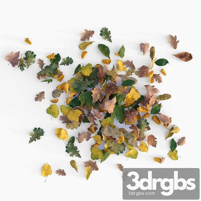 Autumn Leaves 3D Model Download